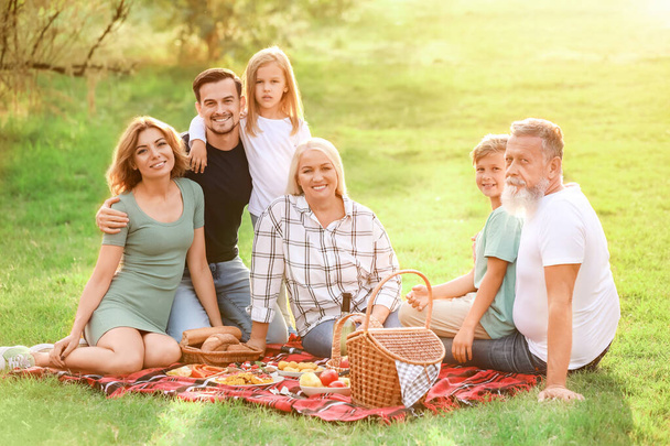 Nagy család piknik a parkban - Fotó, kép