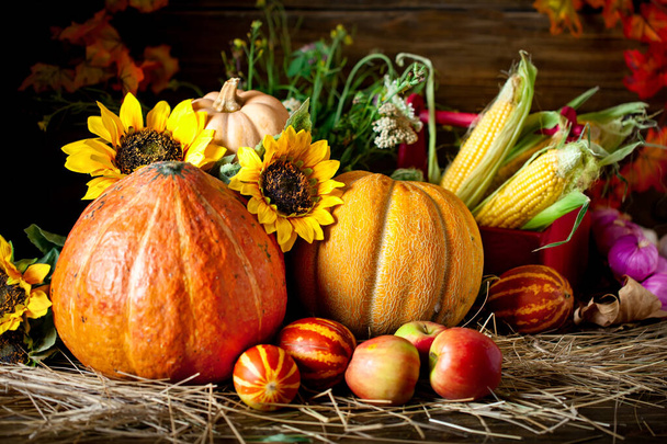 The table, decorated with vegetables and fruits. Harvest Festival. Happy Thanksgiving. Autumn background. Selective focus. - Photo, Image