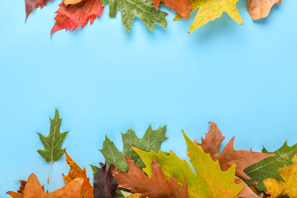 Kaunis syksyn lehdet värillinen tausta - Valokuva, kuva