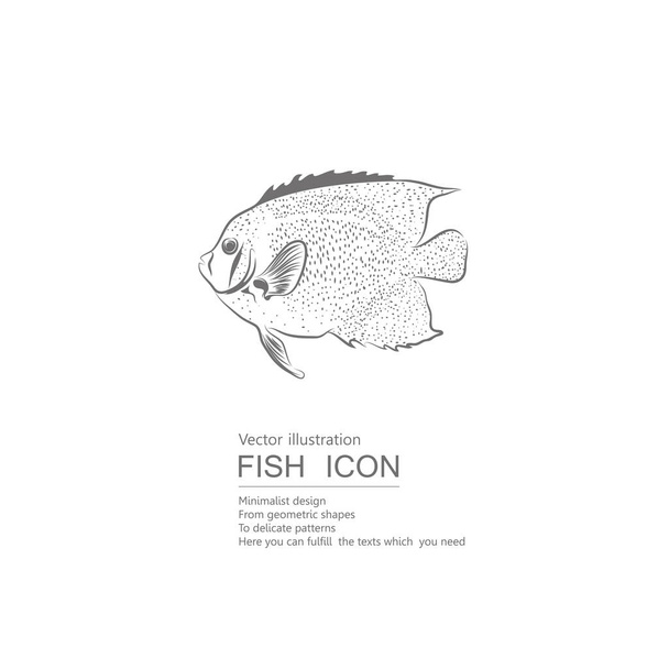 Vector drawn fish. Isolated on white background. - Vektori, kuva