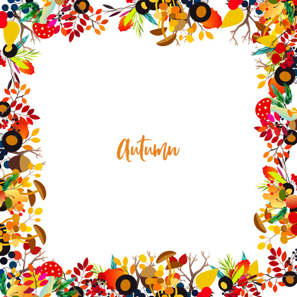 Autumn vector frame with berries, acorns, pine cone, mushrooms, branches and leaves. - Vetor, Imagem