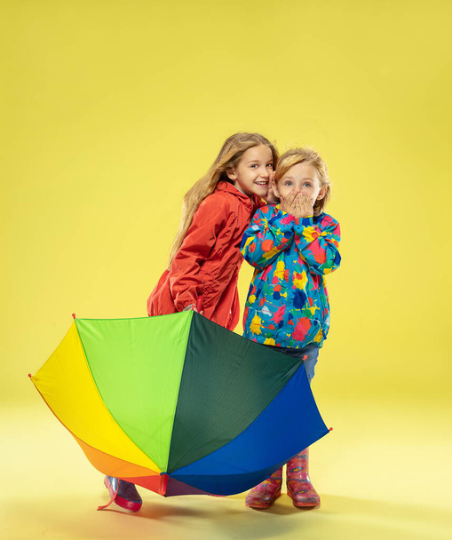 A full length portrait of a bright fashionable girls in a raincoat - Fotografie, Obrázek