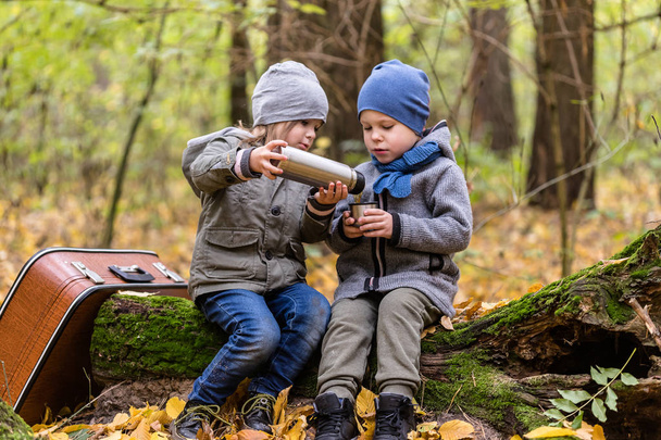 Enfants jouant dans la forêt d'automne pleine de feuilles jaunes avec du vin
 - Photo, image