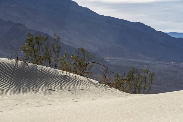 Scénický pohled na pustou americkou poušť - Fotografie, Obrázek
