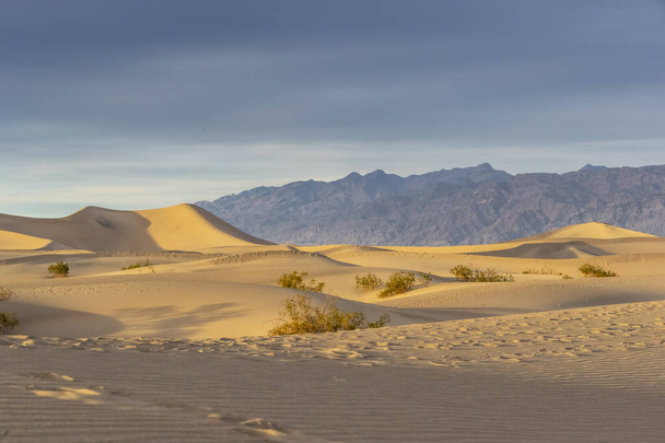 Szcenikus kilátás egy elhagyatott Arid amerikai sivatag - Fotó, kép