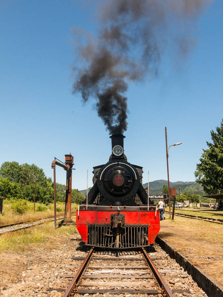 ヴァルディヴィアーノ（Valdiviano）と呼ばれる観光列車は、 1913年型の北イギリス製機関車57形でヴァルディヴィアーノからアンティルまで運行されている。チリ南部のロス・リオス地方. - 写真・画像