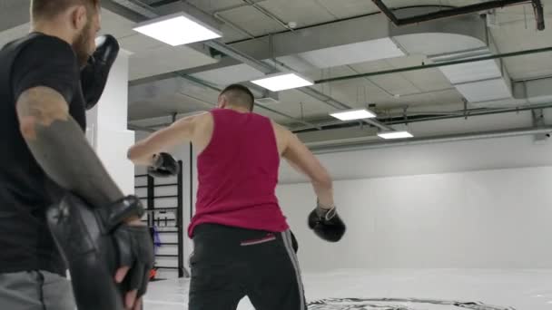 Ağır çekim: Dövüşçü bacağın dönüşü sırasında bir dönüşle saldırır. Koç dövüşten önce kickboksör eğitimi için pençelerini tutuyor - Video, Çekim