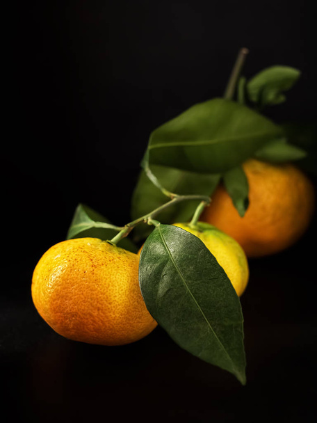 Tangerines with leaves in on a black stone surface. Close-up. Citrus. - Photo, Image