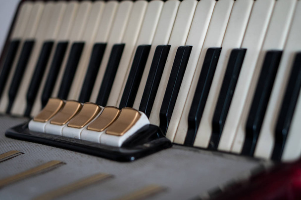 Stare zabytkowe akordeony, czarno-białe klawisze do grania utworów muzycznych. - Zdjęcie, obraz