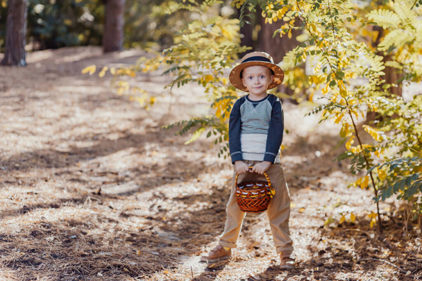 Stylish boy in a hat with a basket. boy in the park in a hat with a basket in autumn - Foto, afbeelding