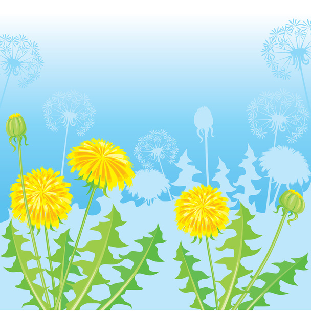 Summer Postcard from dandelions - Vector, Image
