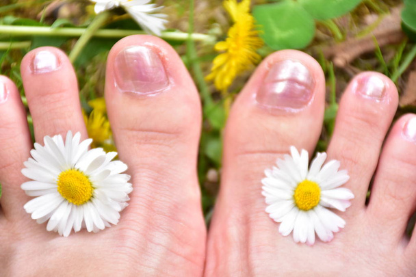 krásná kytice sedmikrásek v nohách, - Fotografie, Obrázek