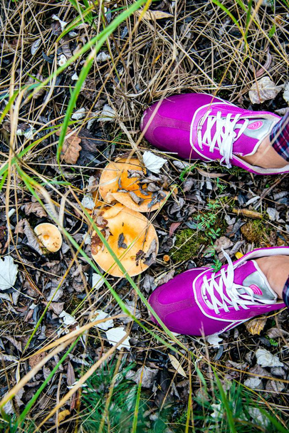 Zapatillas deportivas brillantes. Vista superior. Calzado Deportivo en Pies Femeninos sobre Hierba Verde. caminar por el bosque
 - Foto, imagen