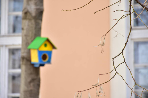 fából készült madárház madaraknak egy fán - Fotó, kép