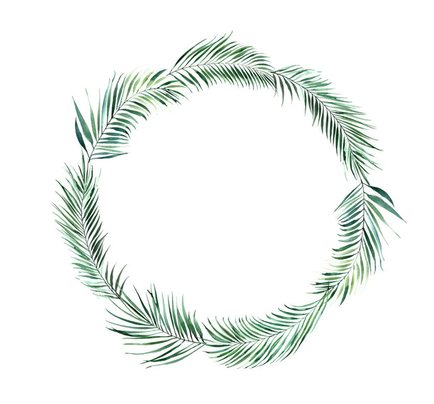 Round frame of green tropical palm leaves. - 写真・画像