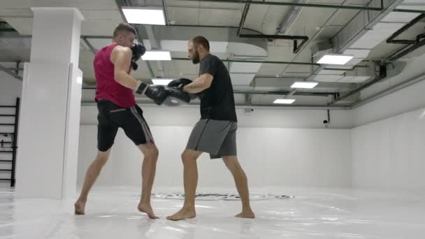 Ο προπονητής και ο πυγμάχος γυμνάζουν την κλωτσιά στο γόνατο στα πόδια σε αργή κίνηση. Εκπαίδευση για kickboxing - Πλάνα, βίντεο