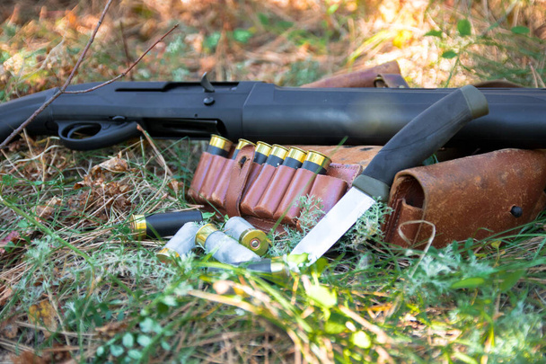 Shotgun, cartridges and vintage bandolier on grass in the autumn forest, close-up - Photo, Image