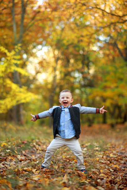 Восхитительный и счастливый мальчик стоит в осеннем лесу
. - Фото, изображение