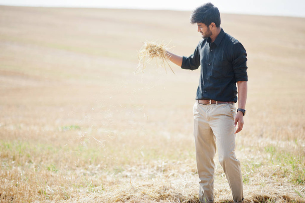 South asian agronomist farmer inspecting wheat field farm. Agric - Foto, afbeelding