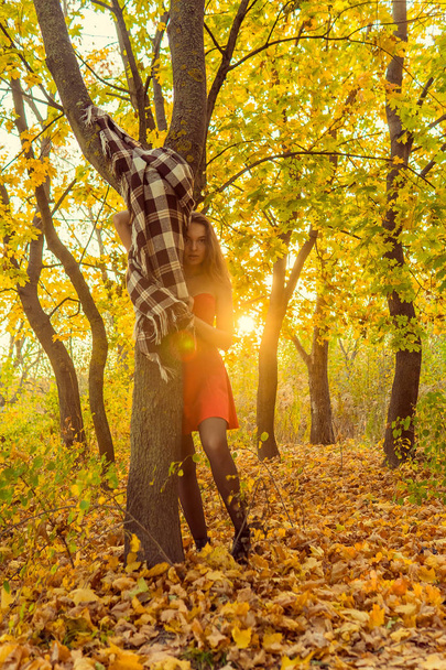 Una mujer posa delante de una cámara en un parque de otoño. sesión de fotos de otoño. Otoño en el parque
. - Foto, imagen