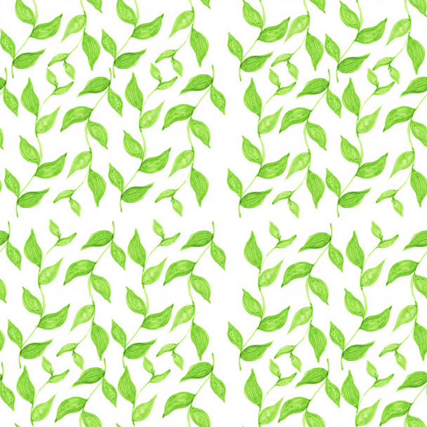 bezszwowy wzór z zielonymi liśćmi na białym tle, gałąź z zielonymi liśćmi - Zdjęcie, obraz