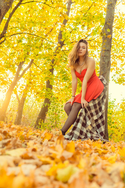Eine Frau posiert in einem herbstlichen Park vor einer Kamera. Herbst-Fotoshooting. Herbst im Park. - Foto, Bild