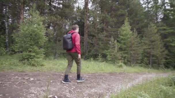 Yürüyüş yapan adam yaz ormanlarında yürürken sırt çantası ve kırmızı ceket giyiyor. Stok görüntüleri. Genç adam orman boyunca patikayı takip ediyor.. - Video, Çekim