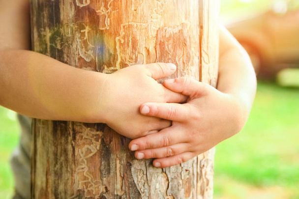 hands of a happy child in nature - Foto, imagen