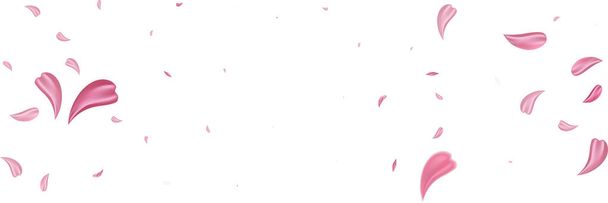 Pink falling petals isolated. Sakura flower pastel background. - Vector, Image