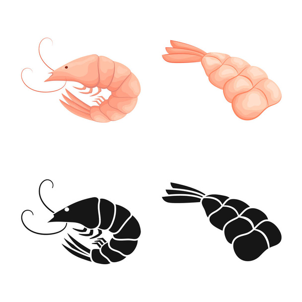 Vector illustration of appetizer and ocean symbol. Set of appetizer and delicacy stock symbol for web. - Vektor, obrázek