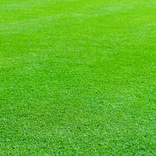 зелена трава текстури
 - Фото, зображення