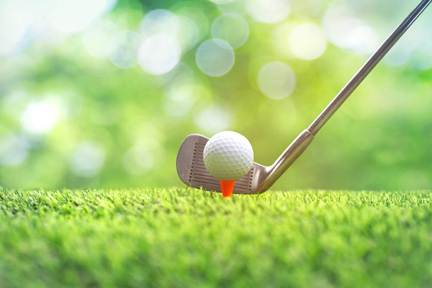 緑の芝生の上で休憩ゴルフ機器のコレクション。ブルーラードゴール - 写真・画像