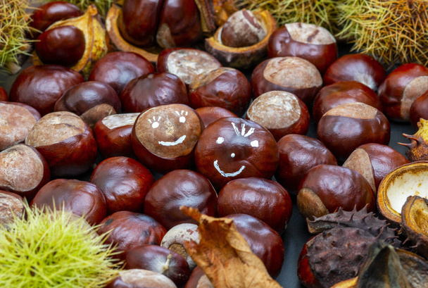 autumn composition with fresh chestnuts with a smile and fall foliage close-up - Photo, Image
