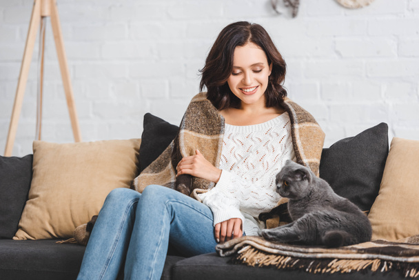 cheerful brunette woman in blanket sitting on sofa with scottish fold cat   - Zdjęcie, obraz