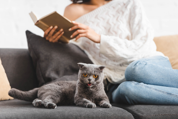 cropped view of girl reading book on sofa with scottish fold cat  - Photo, Image