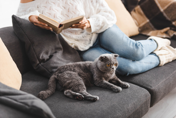 cropped view of girl reading book with scottish fold cat on sofa - Fotó, kép