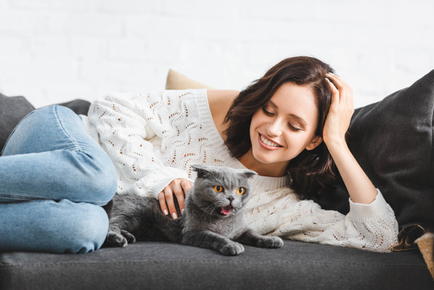beautiful cheerful woman lying on sofa with scottish fold cat   - Zdjęcie, obraz