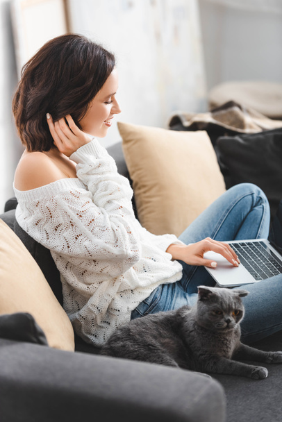 beautiful smiling woman using laptop with scottish fold cat on sofa - Valokuva, kuva