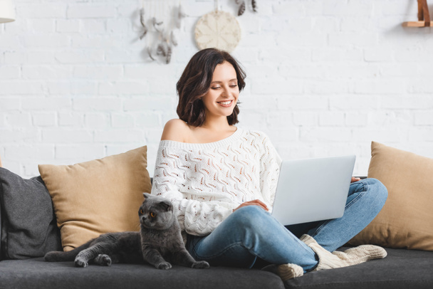 smiling girl using laptop with scottish fold cat on sofa - Photo, image