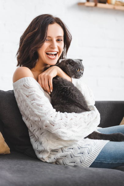 beautiful laughing woman with scottish fold cat sitting on sofa  - Photo, Image