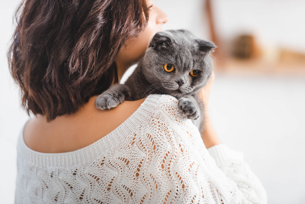 close up of beautiful woman with cute scottish fold cat   - Zdjęcie, obraz
