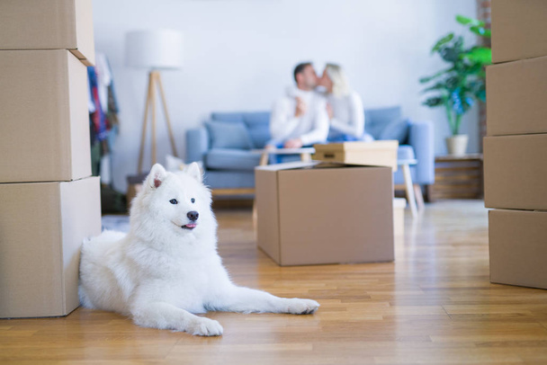 Young beautiful couple with dog kissing sitting on the sofa at new home around cardboard boxes - Foto, afbeelding