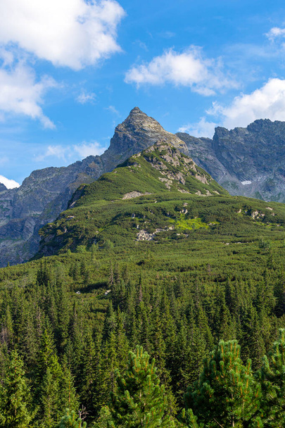 Scenic View in Koscielec Peak in Tatra Mountains, Poland. - Foto, Bild