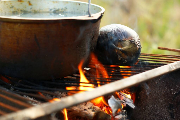 Fish soup and eggplant are on the grill at the stake. - 写真・画像