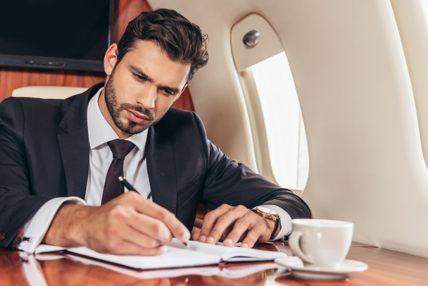 handsome businessman in suit writing in notebook in private plane  - Foto, Bild