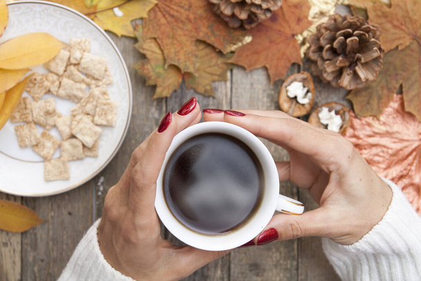 Les mains féminines dans un pull réchauffent leurs mains sur une tasse de café chaud. Sur une table en bois se trouvent des feuilles d'automne, des noix, des cônes
 - Photo, image