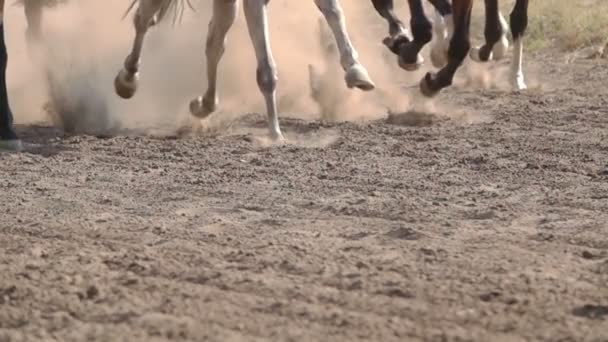 Paardenrennen. De voeten van de paarden op het circuit van het verhogen van stof en vuil. Close-up. Slow motion. - Video