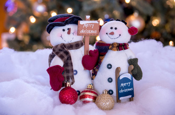 Sněhulák pár vám přeje veselé Vánoce - Fotografie, Obrázek