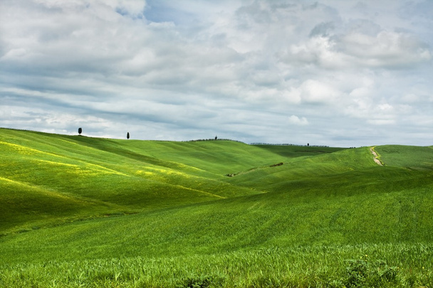 Montañoso paisaje de Toscana - Foto, imagen