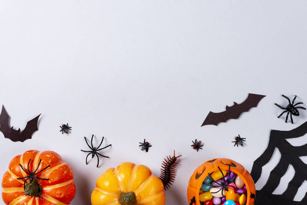 Halloween and decoration concept, Pumpkins, web, bats, spiders, centipede and flies on gray background. - Fotografie, Obrázek